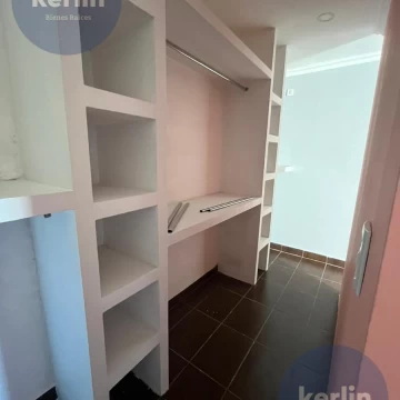 1774541810.jpg