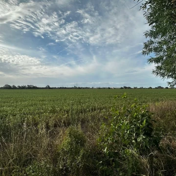 Campo en San Nicolas De Los Arroyos