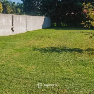 1774559562.jpg