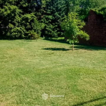 1774559565.jpg