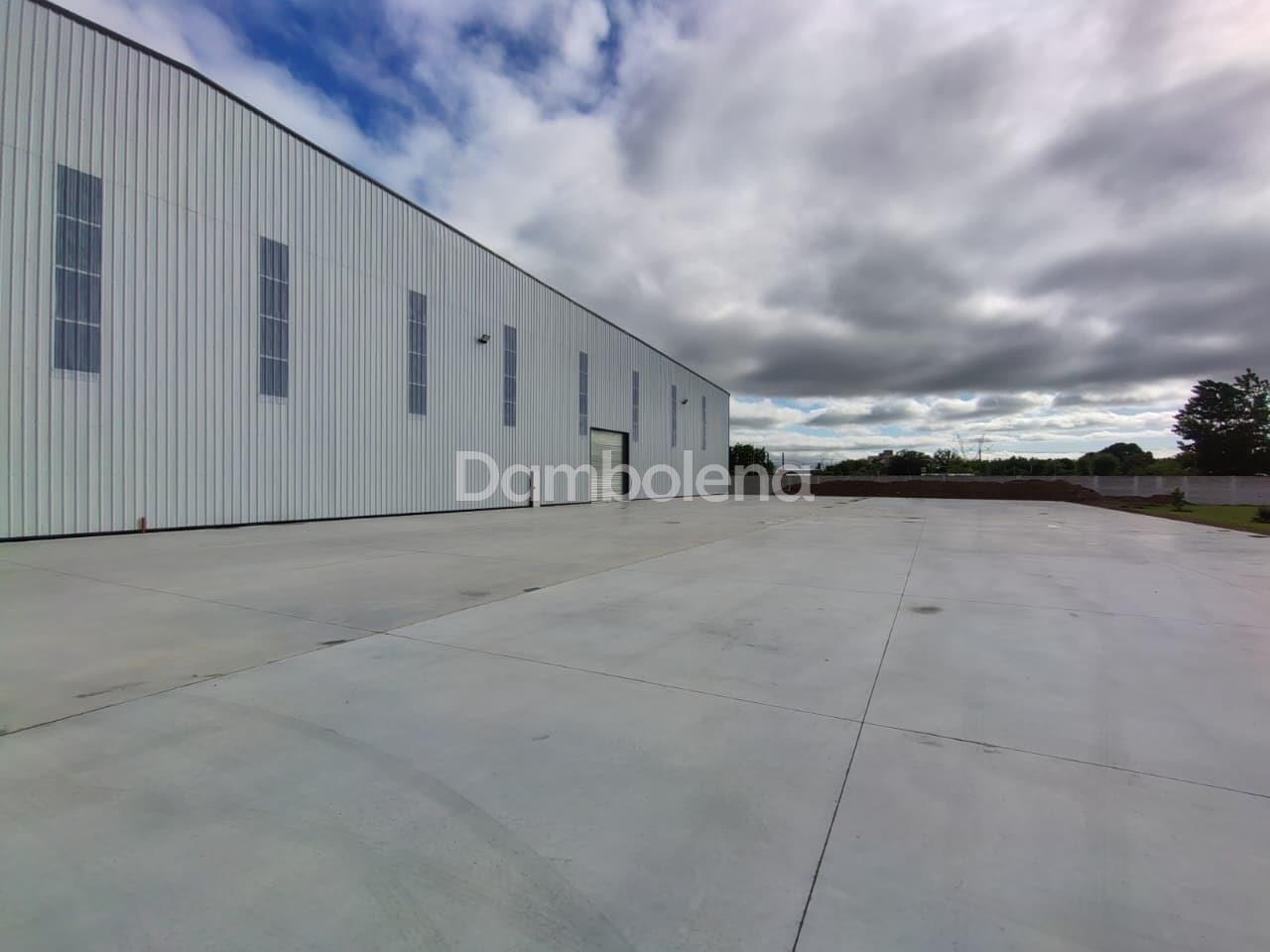 image 18