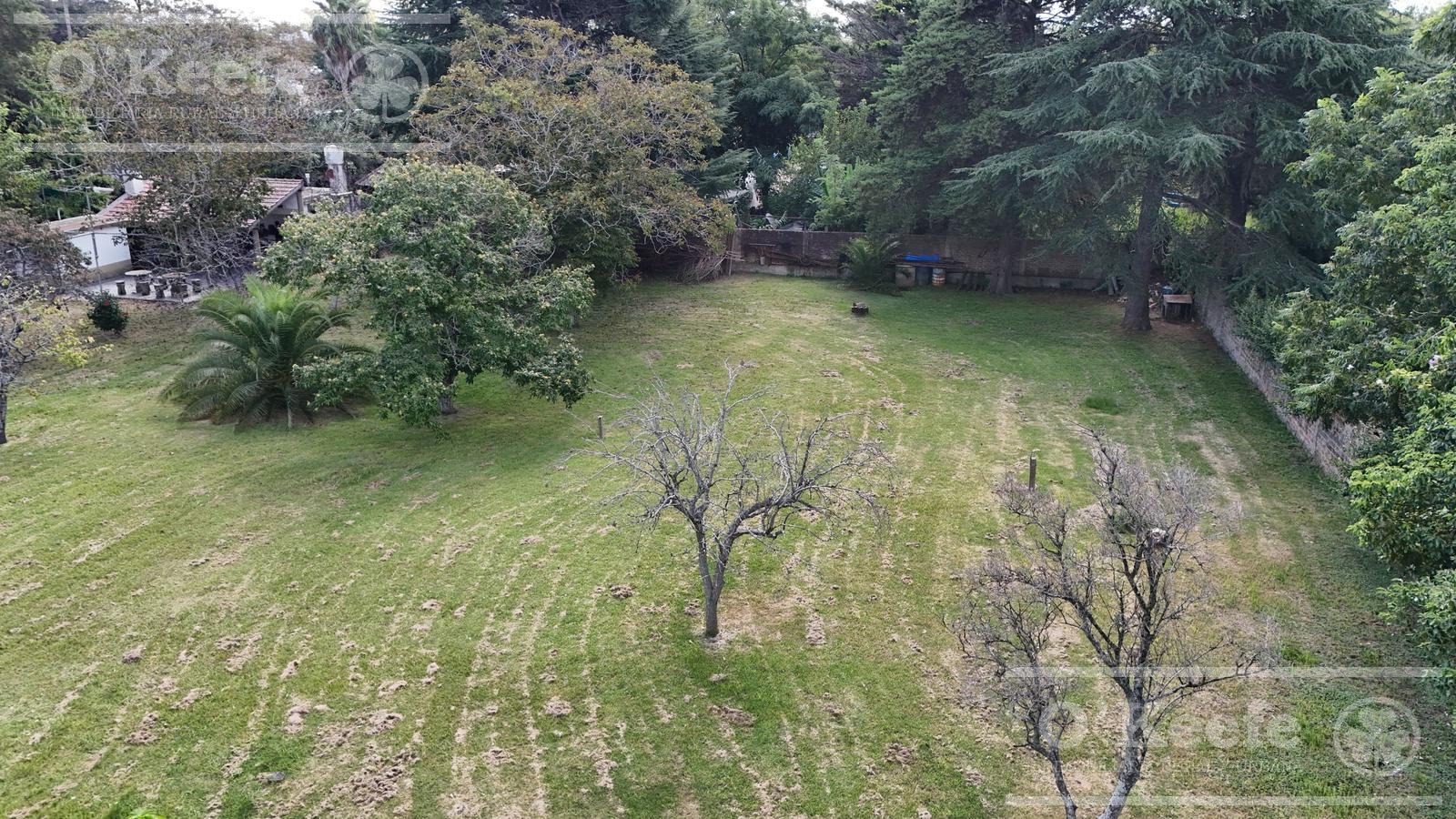 image 14