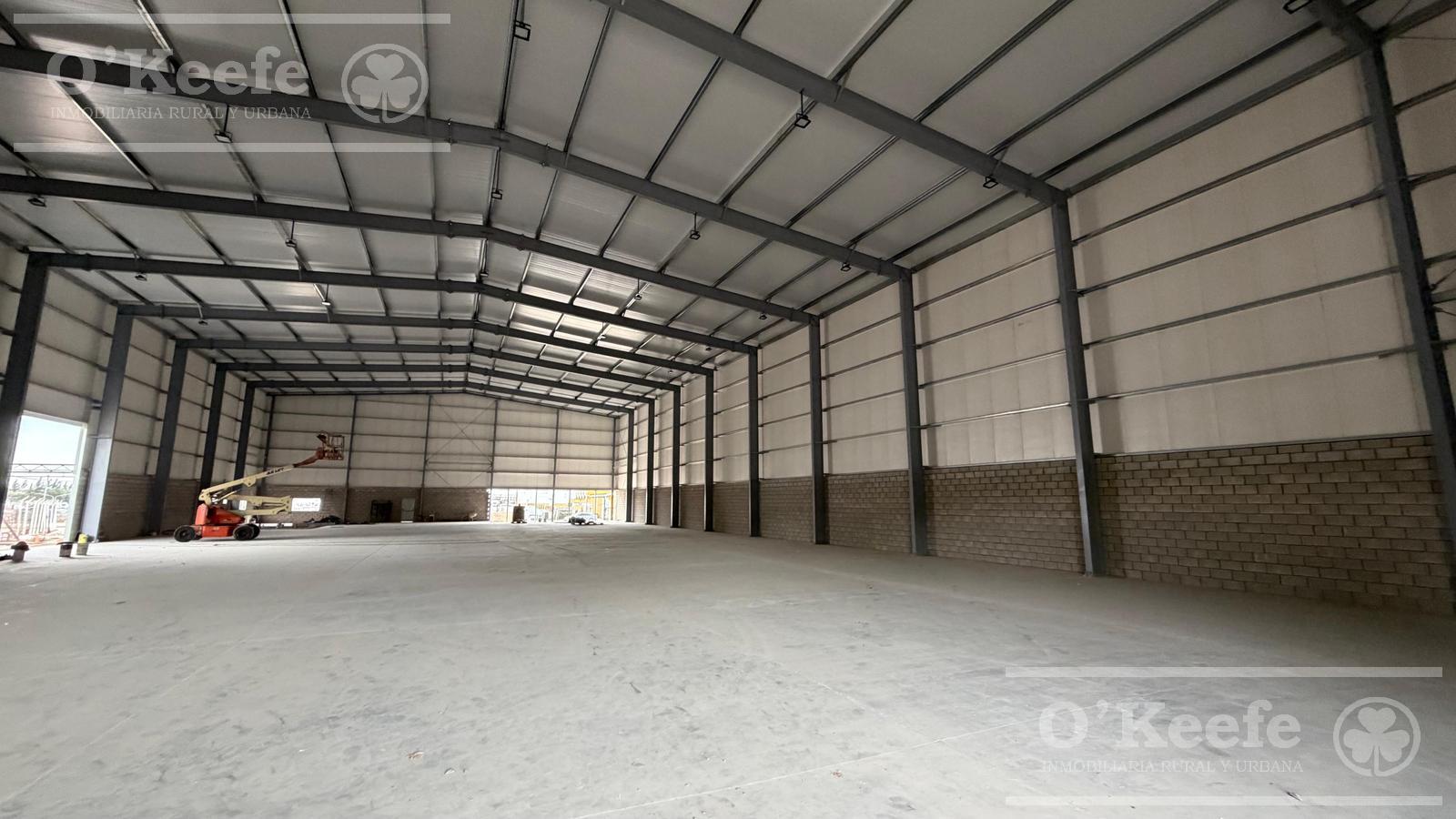 image 14