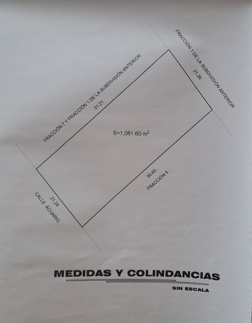 20250331_160753.jpg