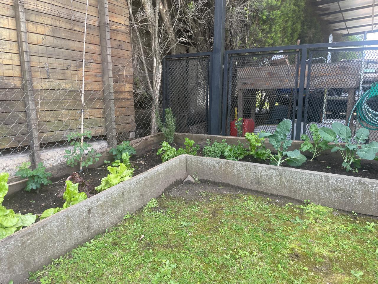 image 32