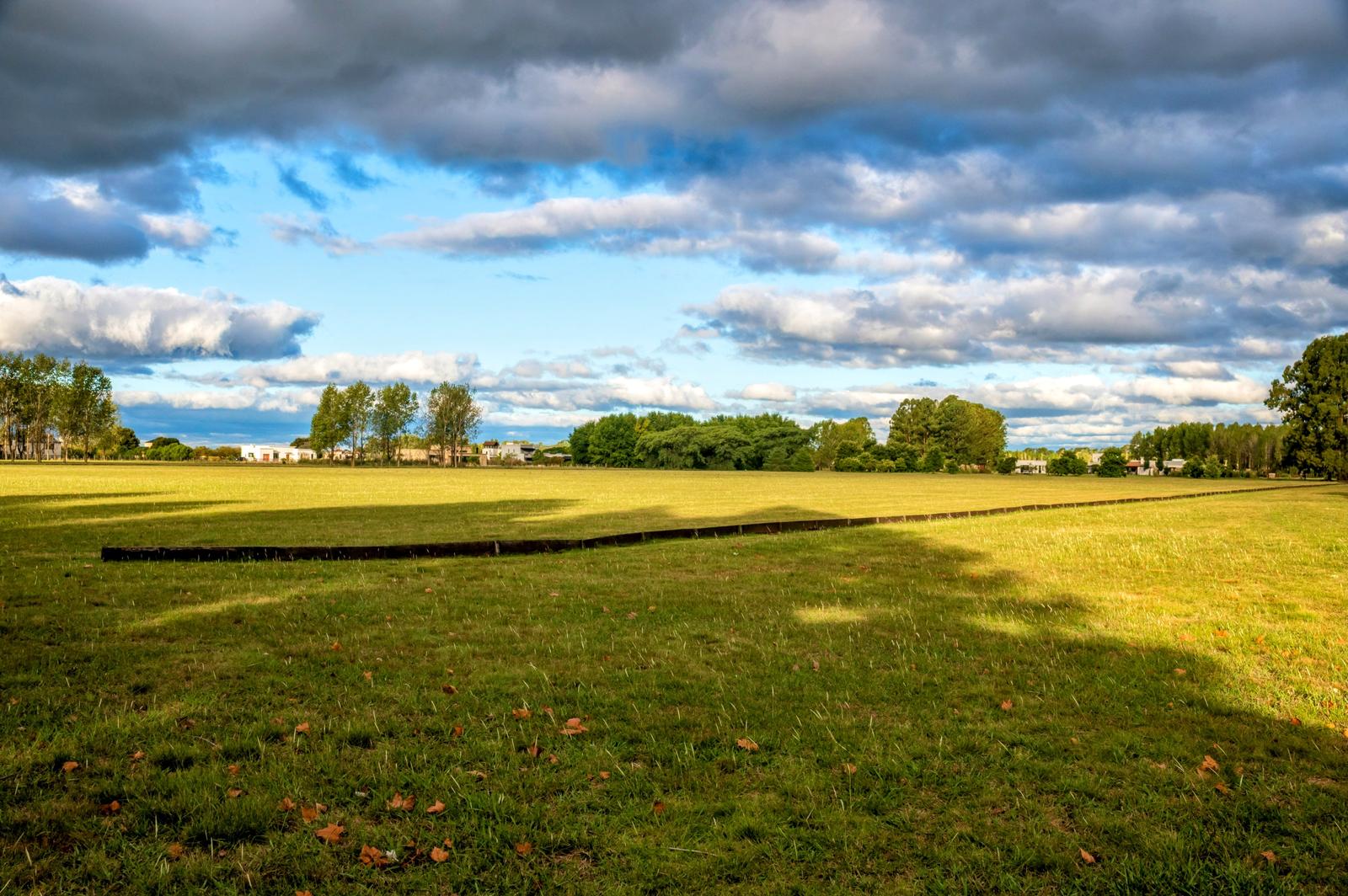image 65