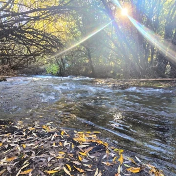 Chacra en venta. El Bolsón, Bariloche. Río Negro