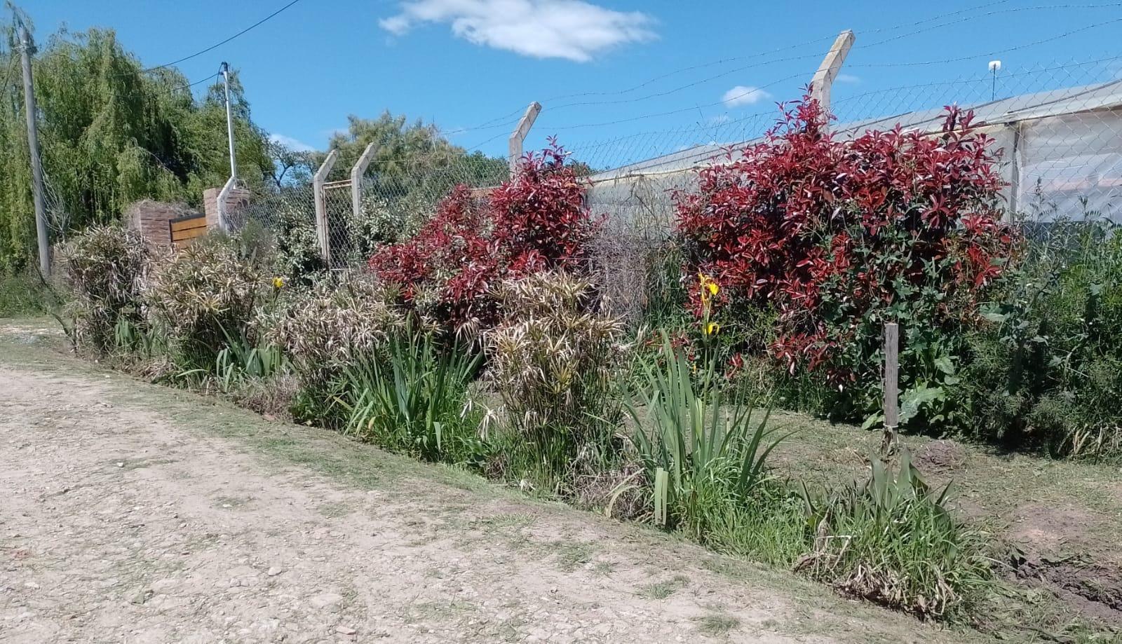 image 37