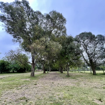 Campo en venta en Olmos, La Plata. Con dos casas y predio con canchas