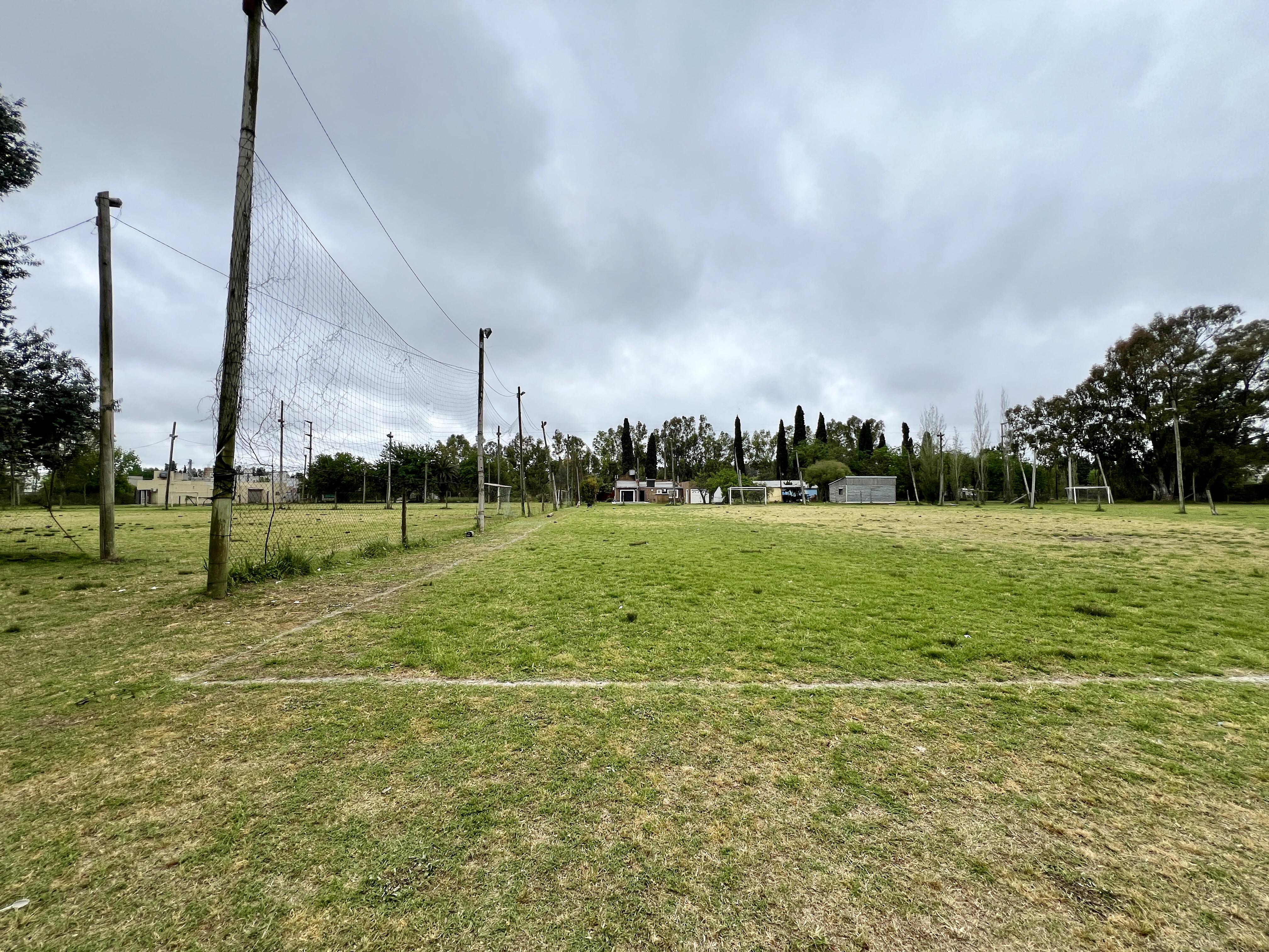 image 14