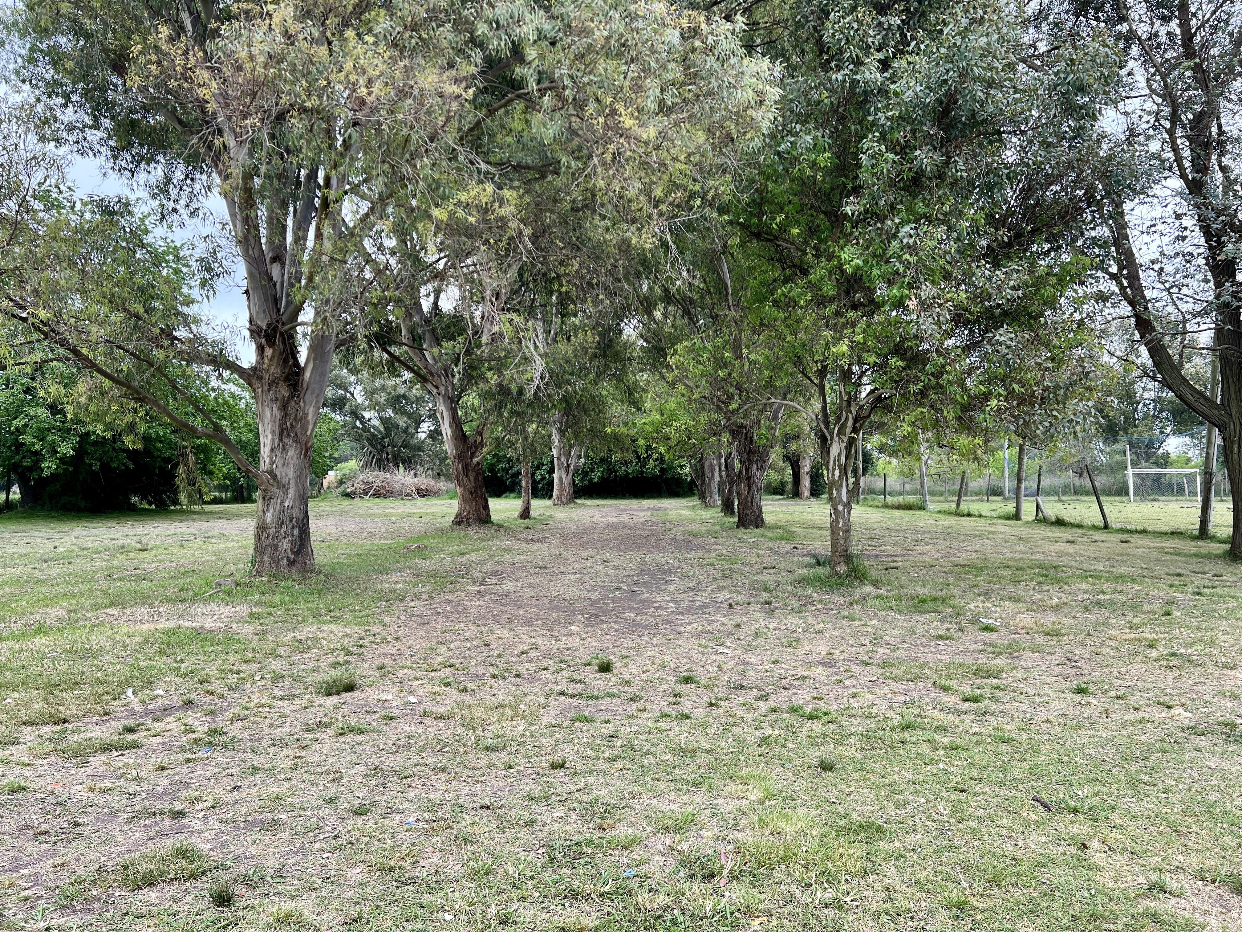 image 18