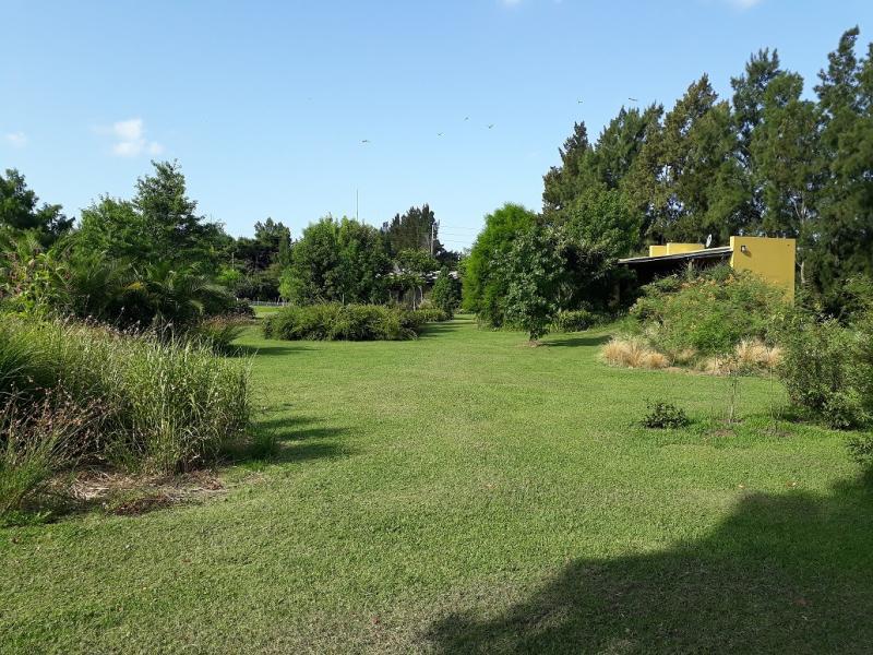 image 17