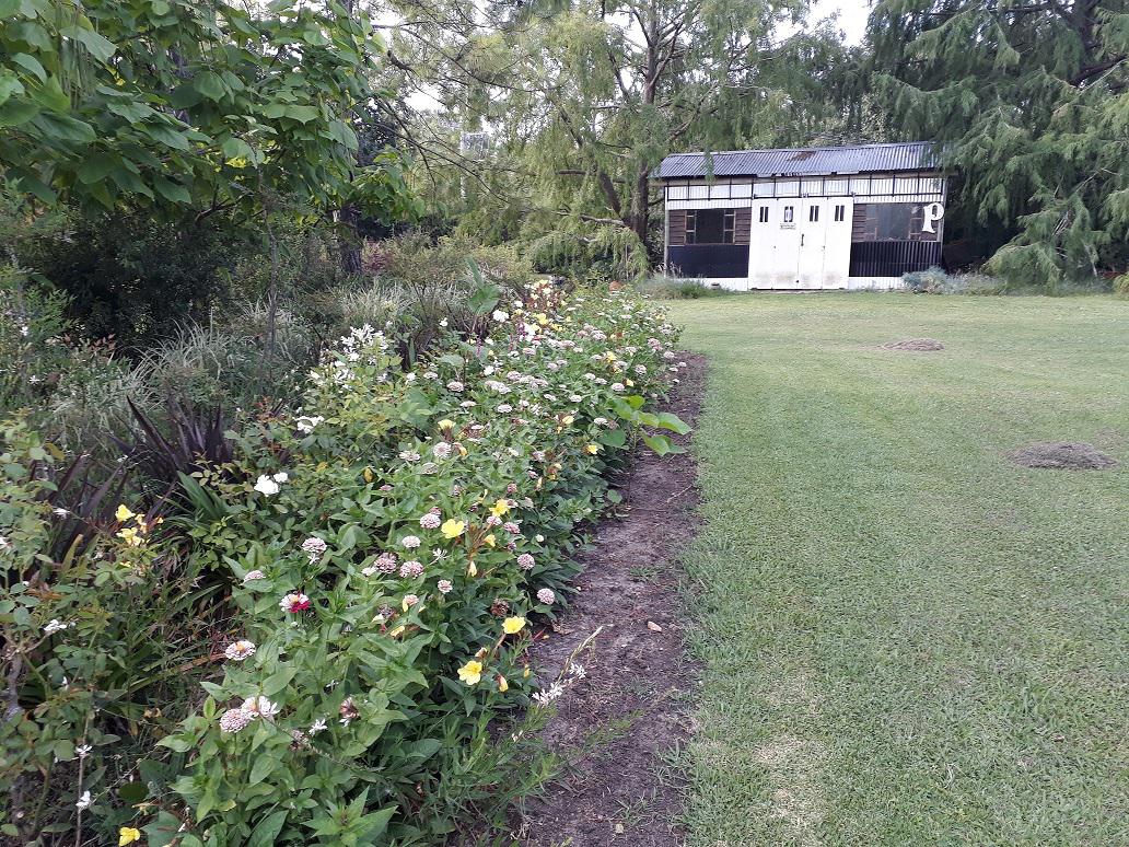 image 25