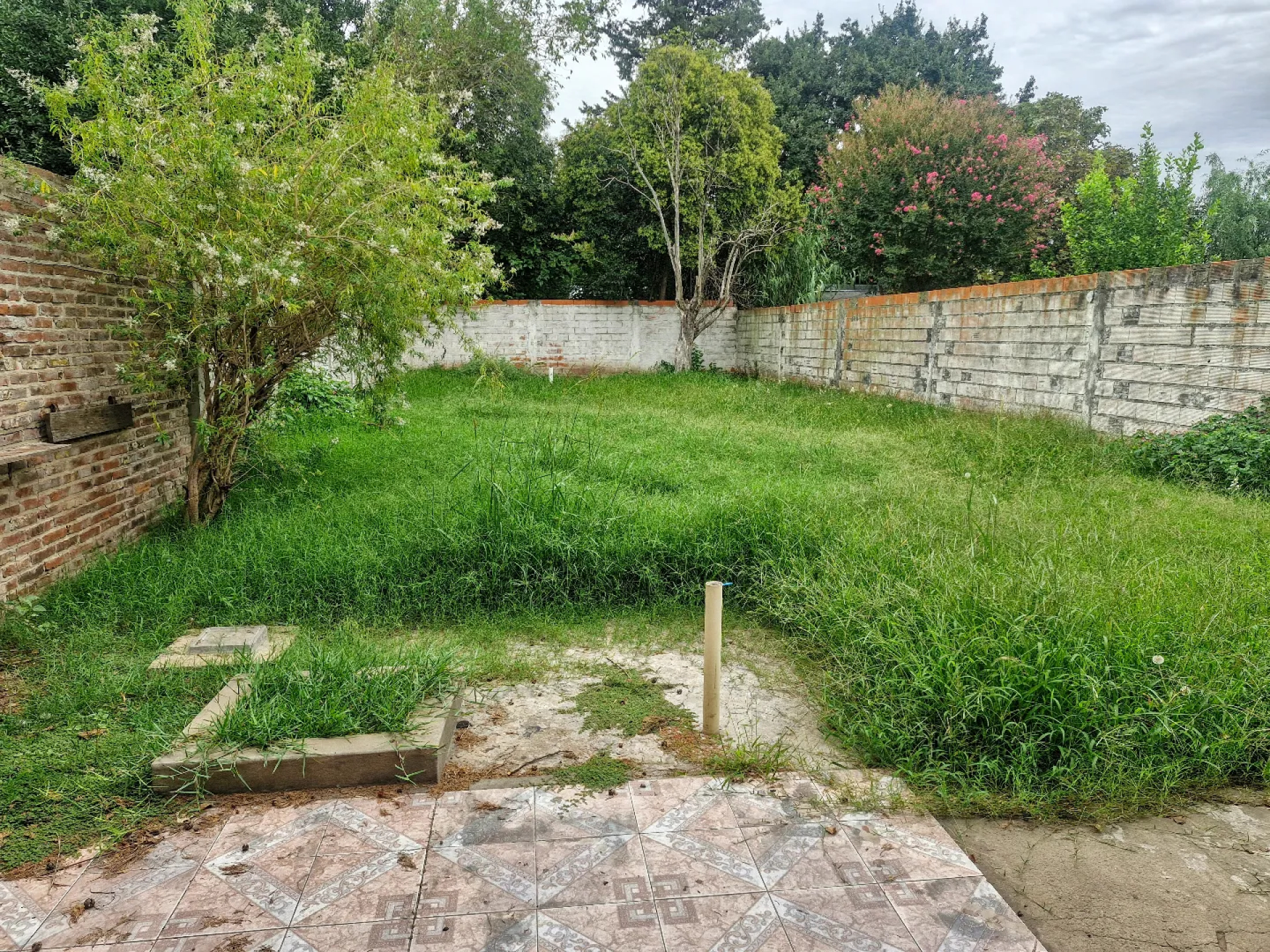image 32