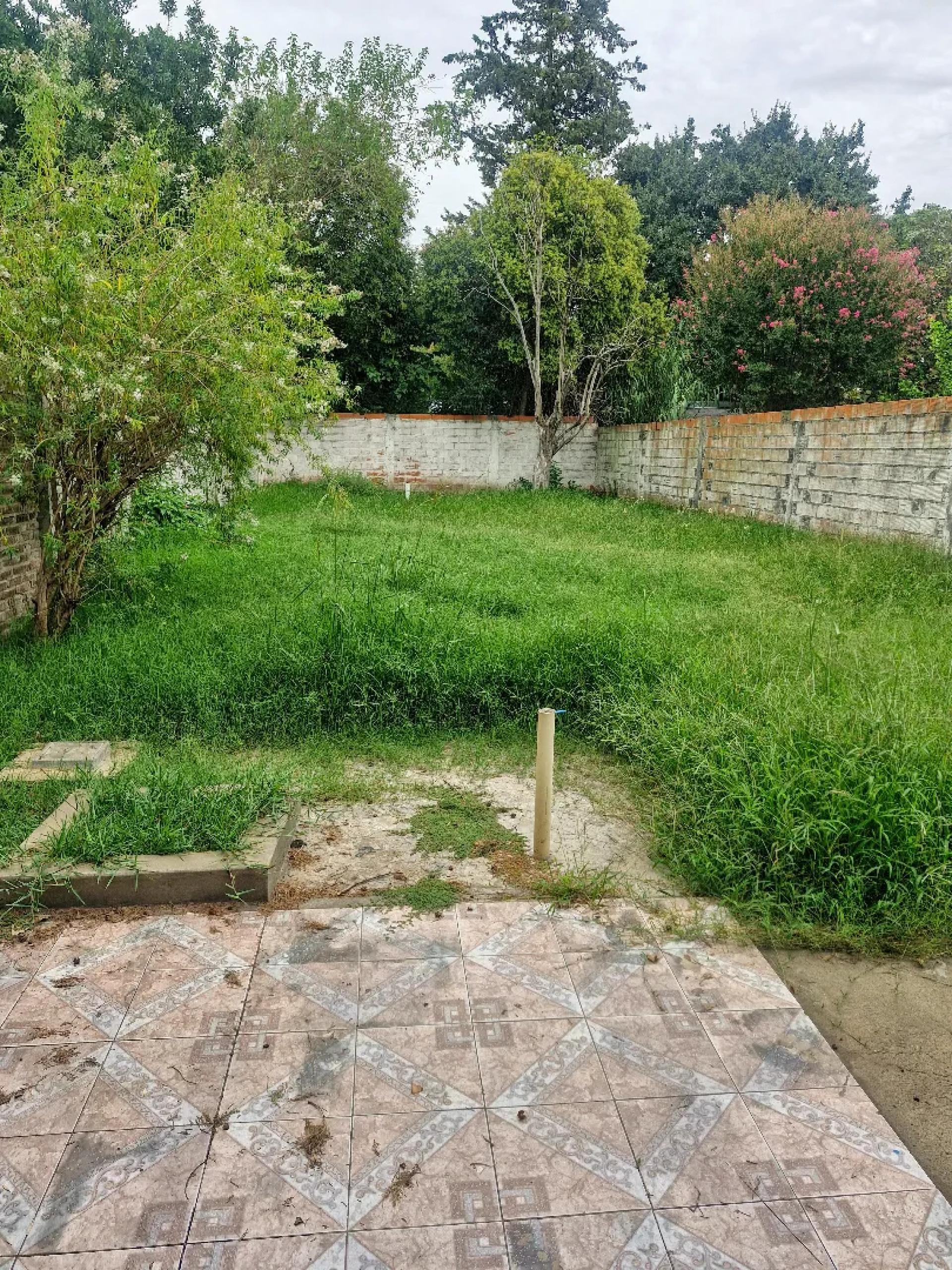 image 33