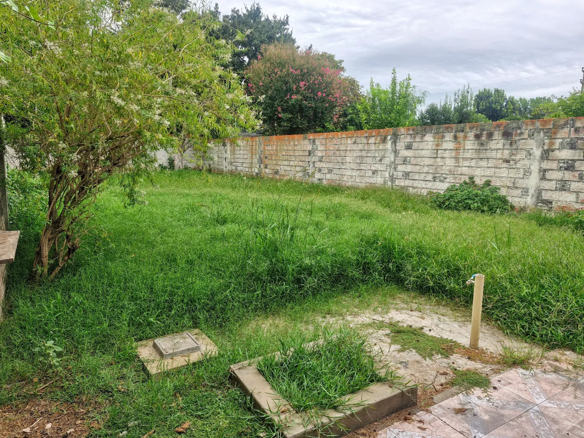 image 34