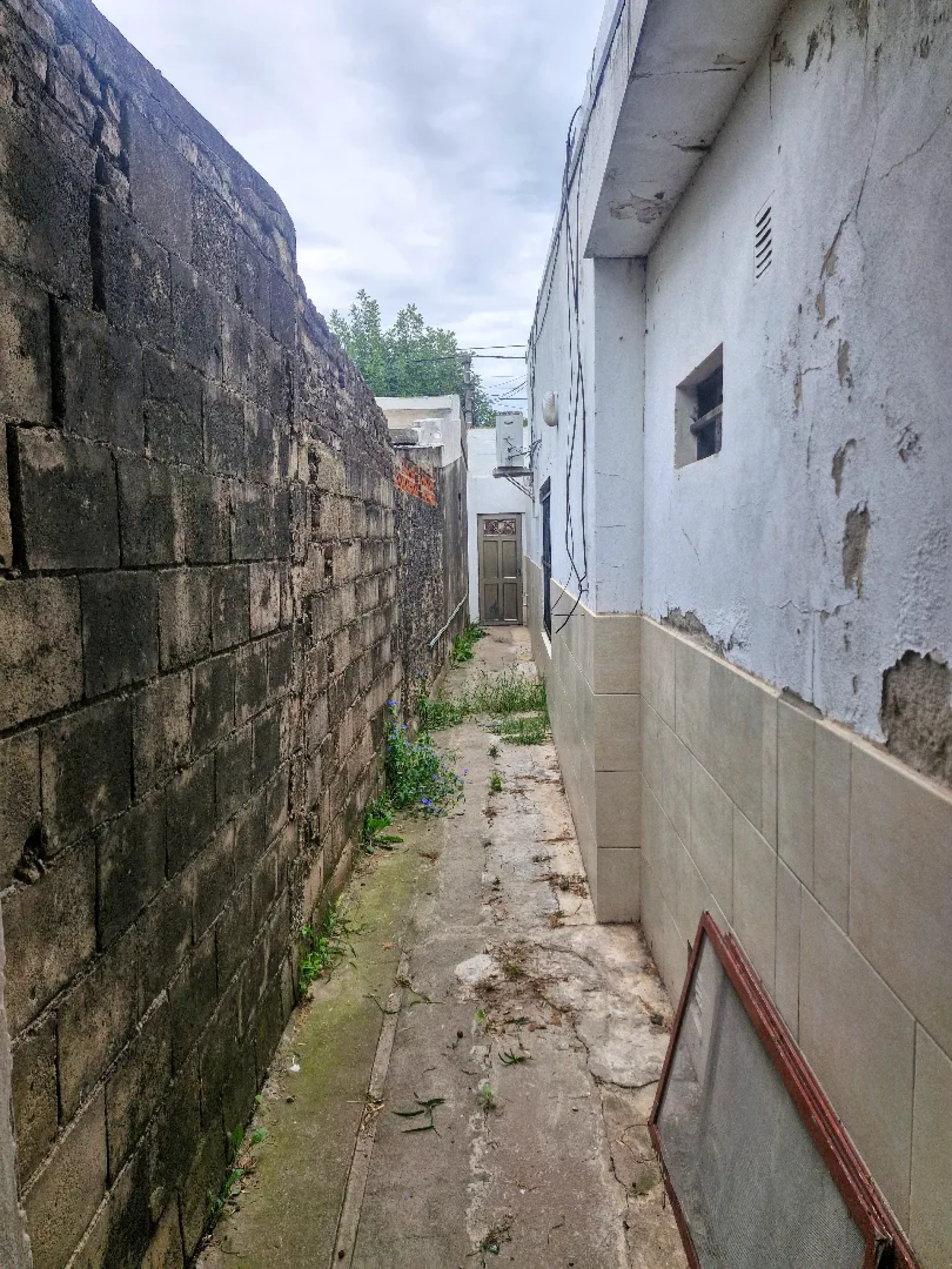 image 37