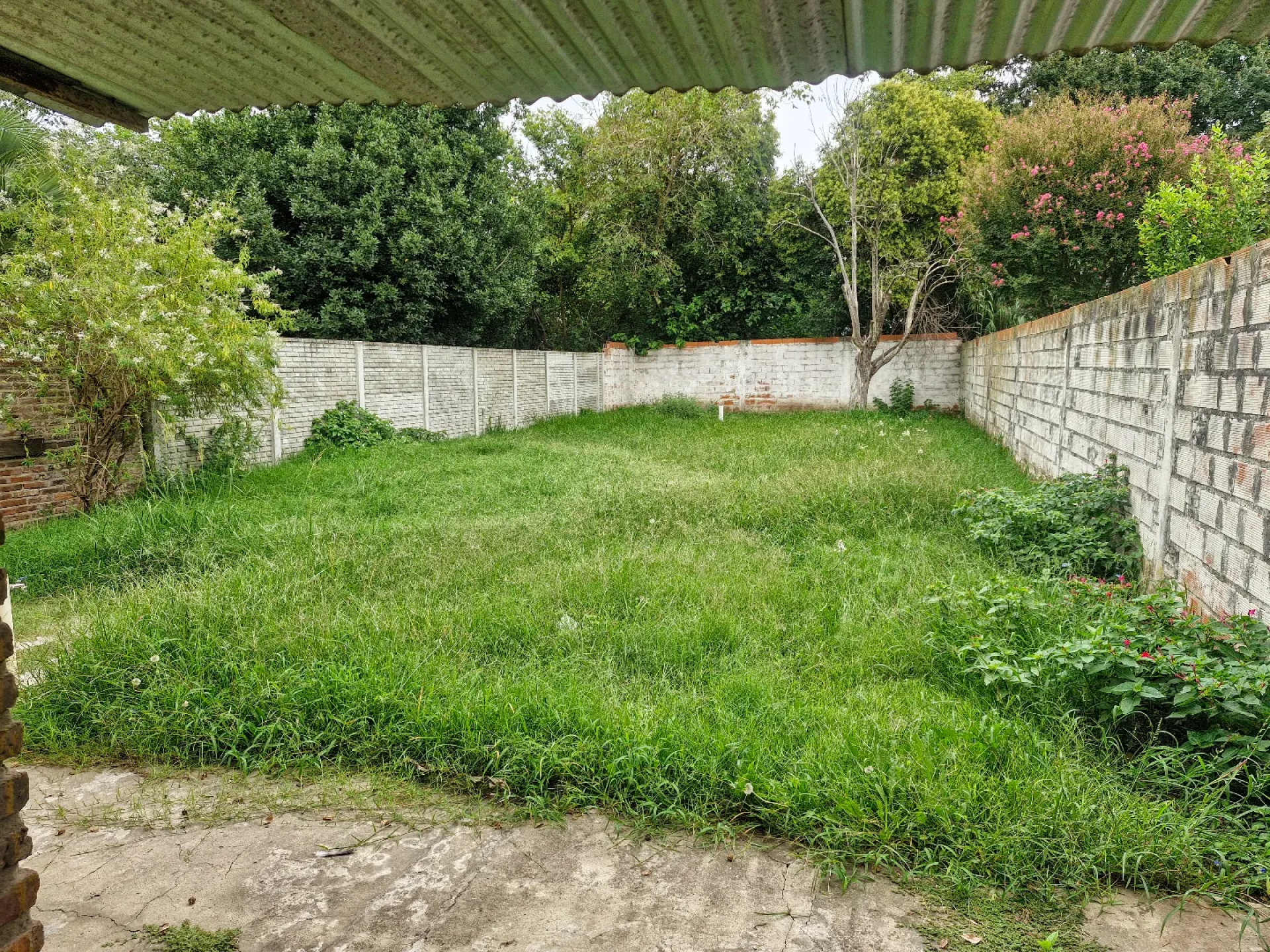 image 38