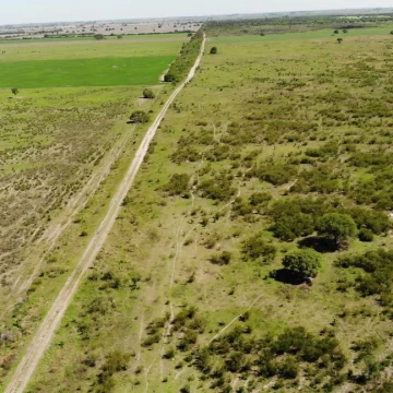 Campo venta