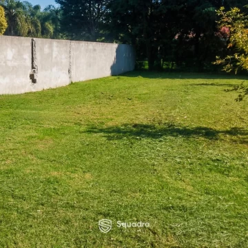 1774894360.jpg