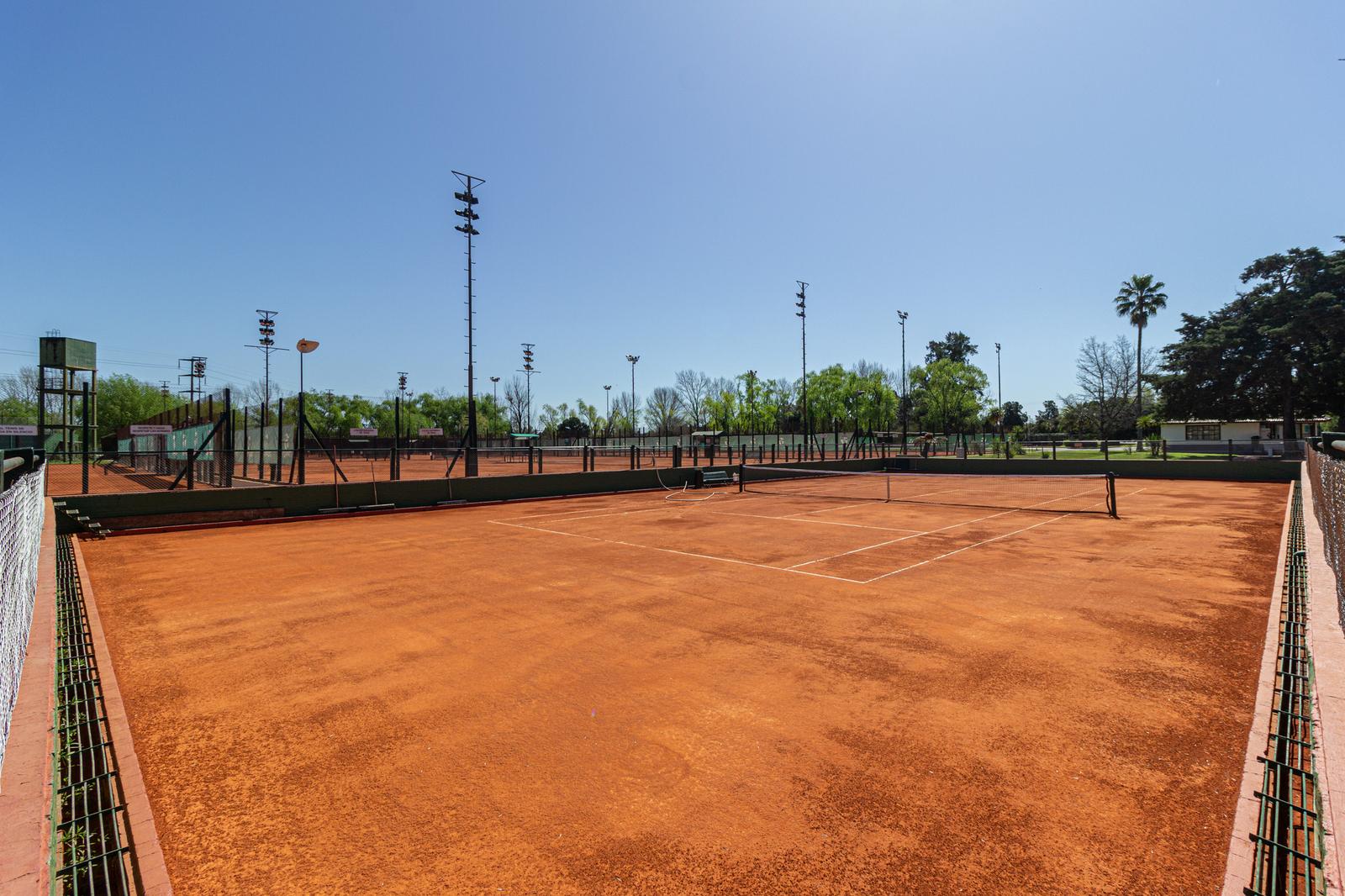 Tenis