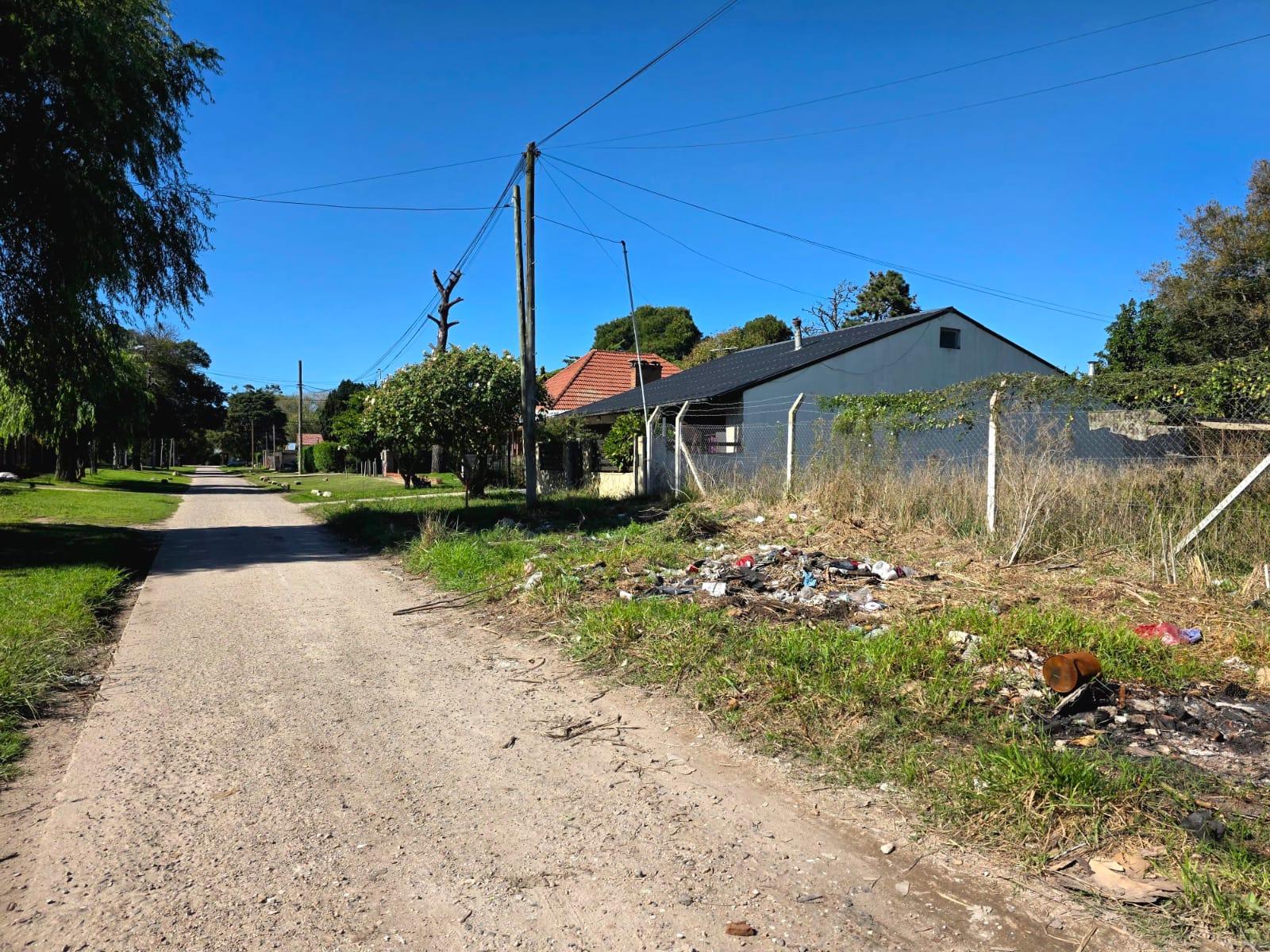 image 25