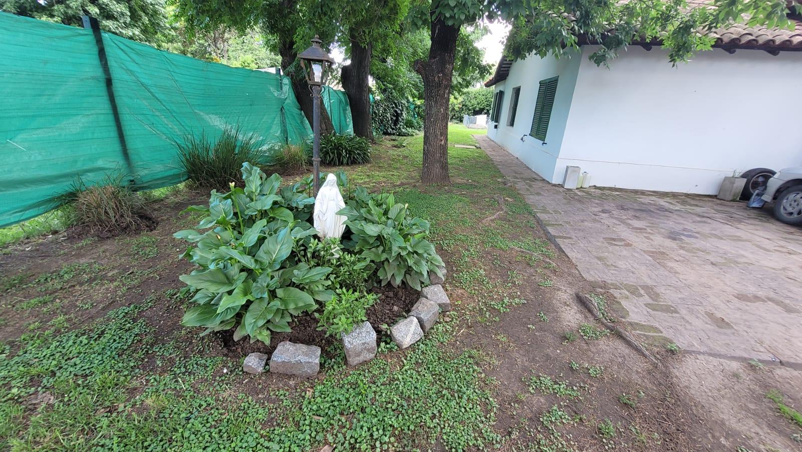 image 31
