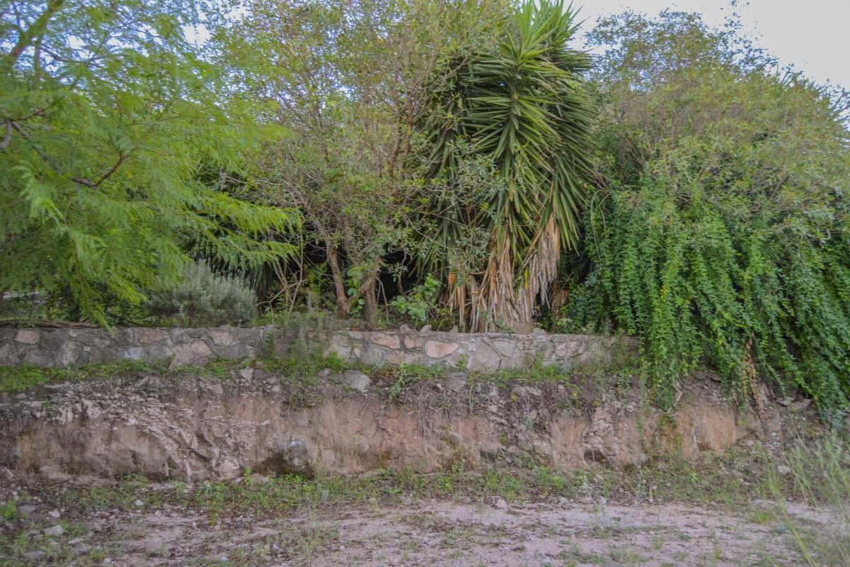 image 14