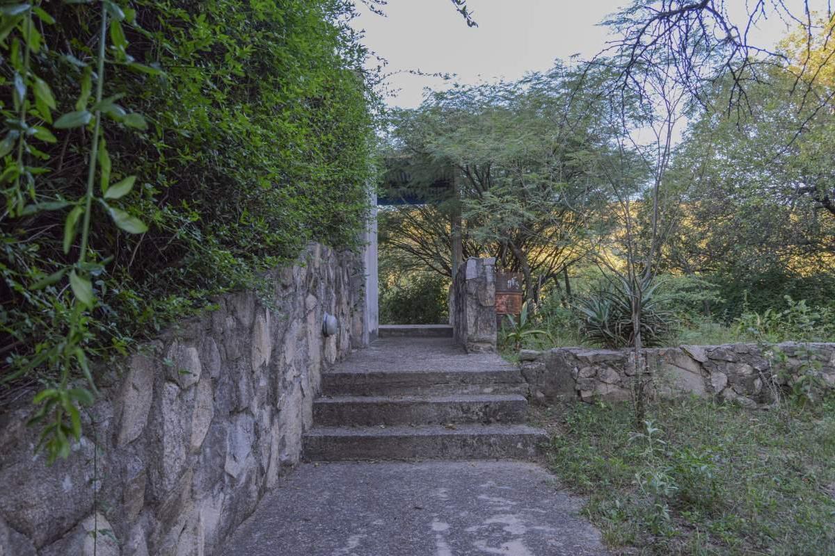 image 33