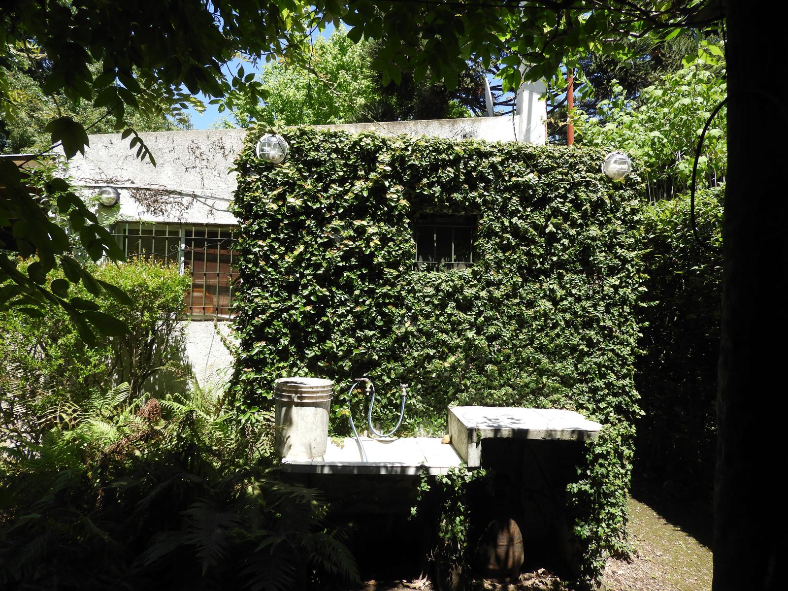 image 17