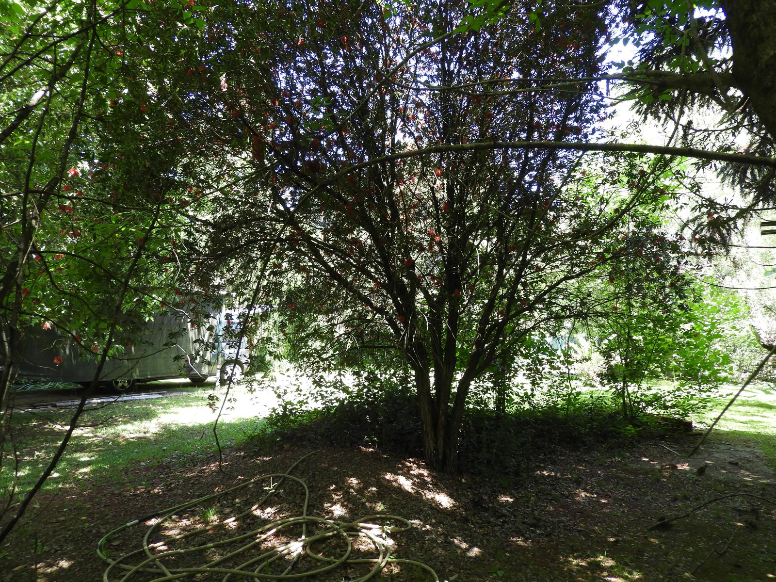 image 50