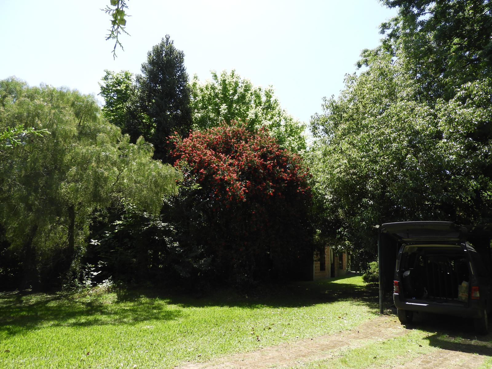 image 56
