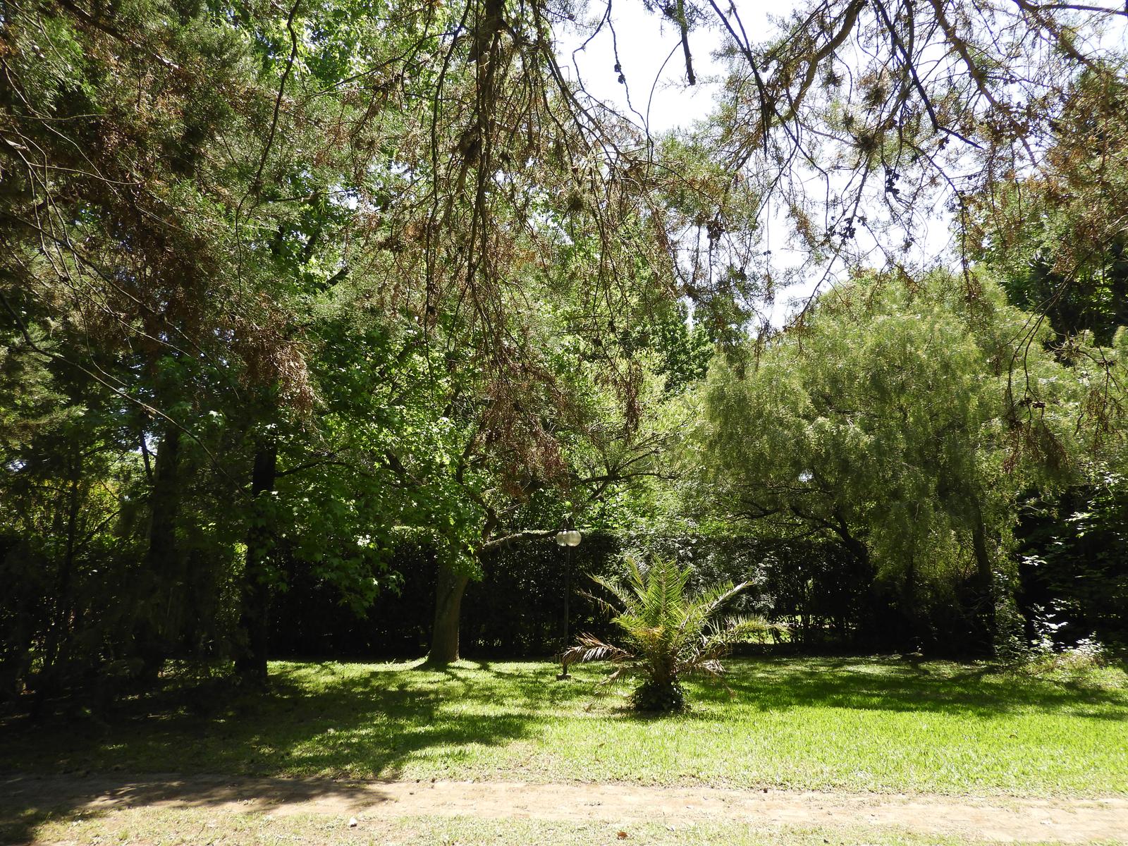 image 59