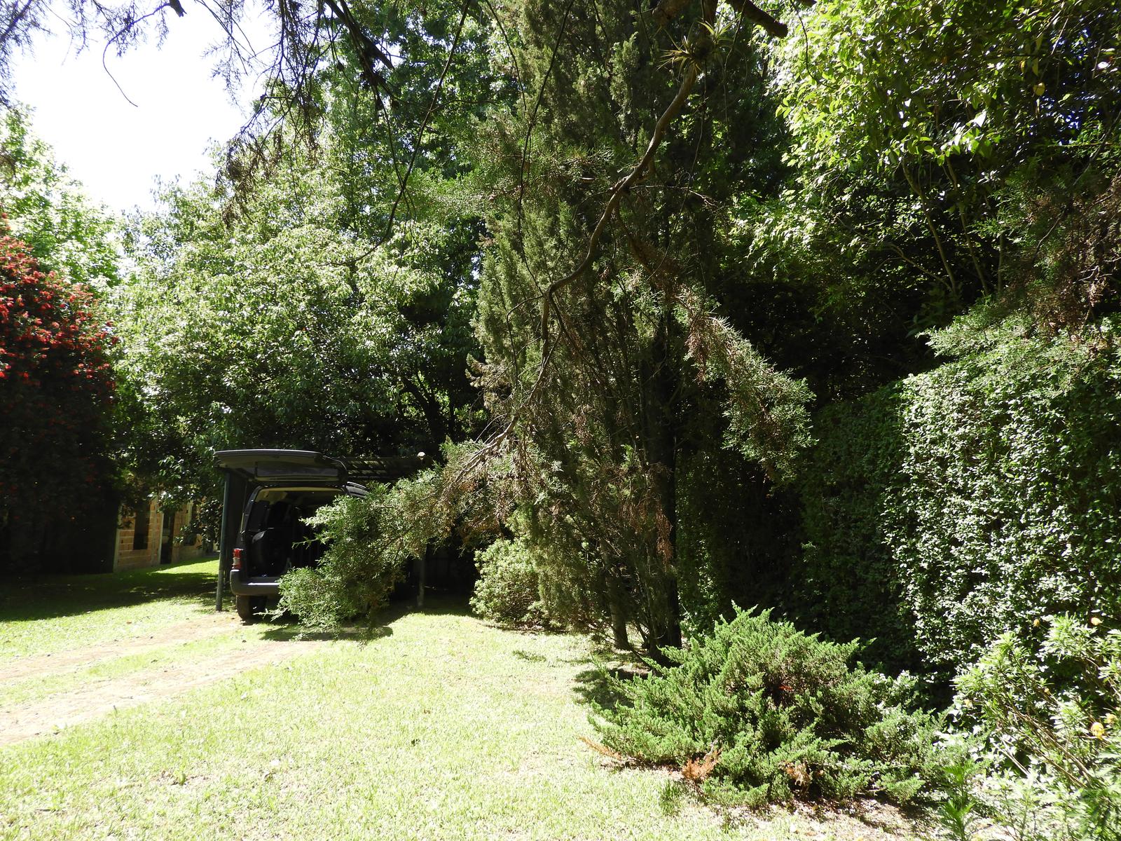 image 61