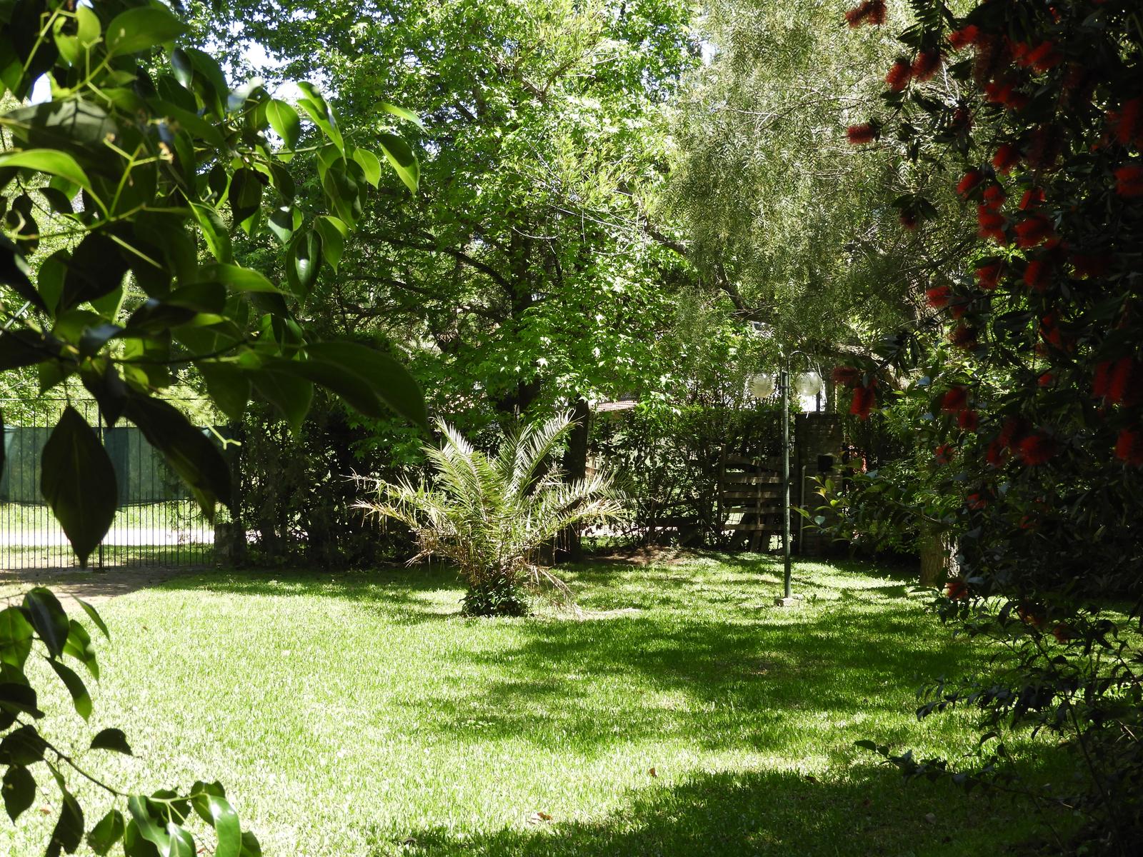 image 62