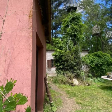 1774995944.jpg