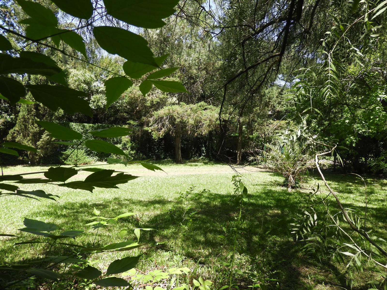 image 52