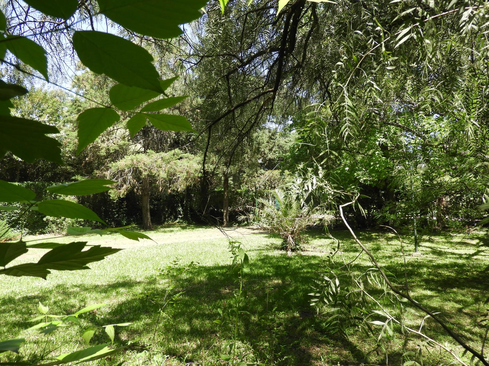 image 53
