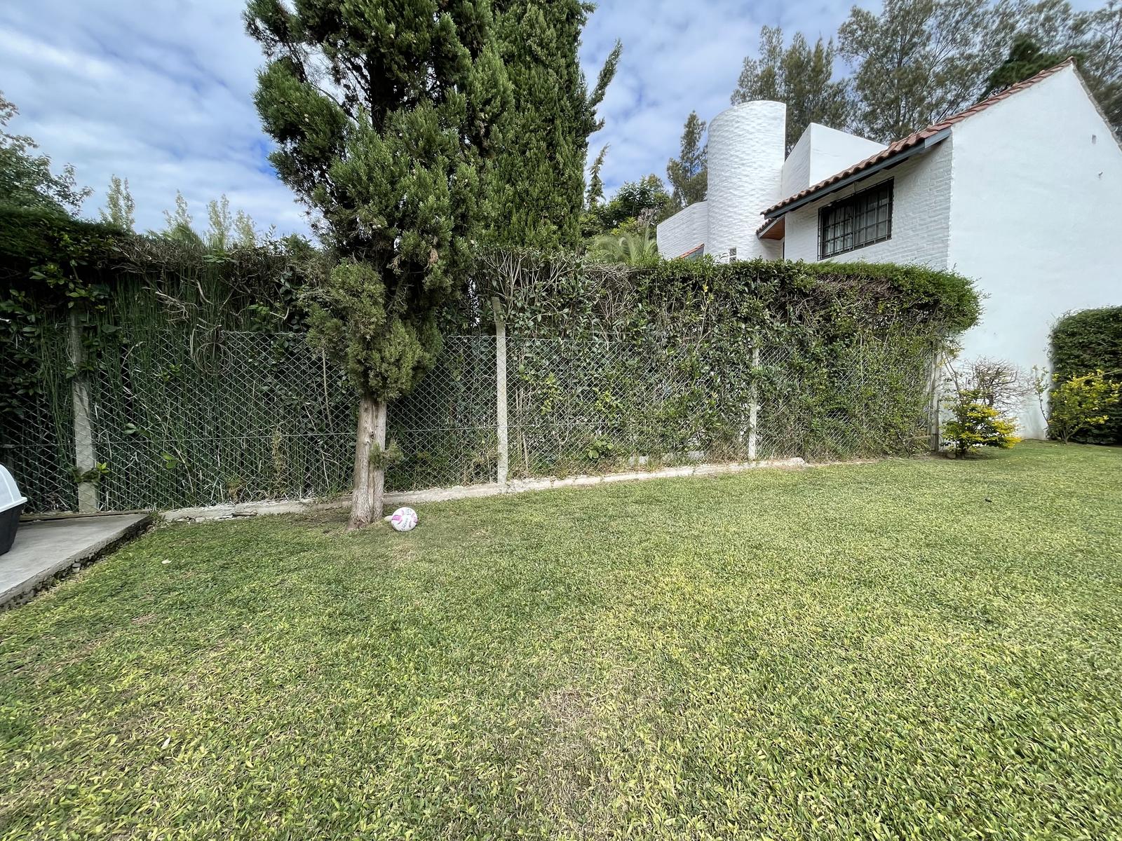 image 23