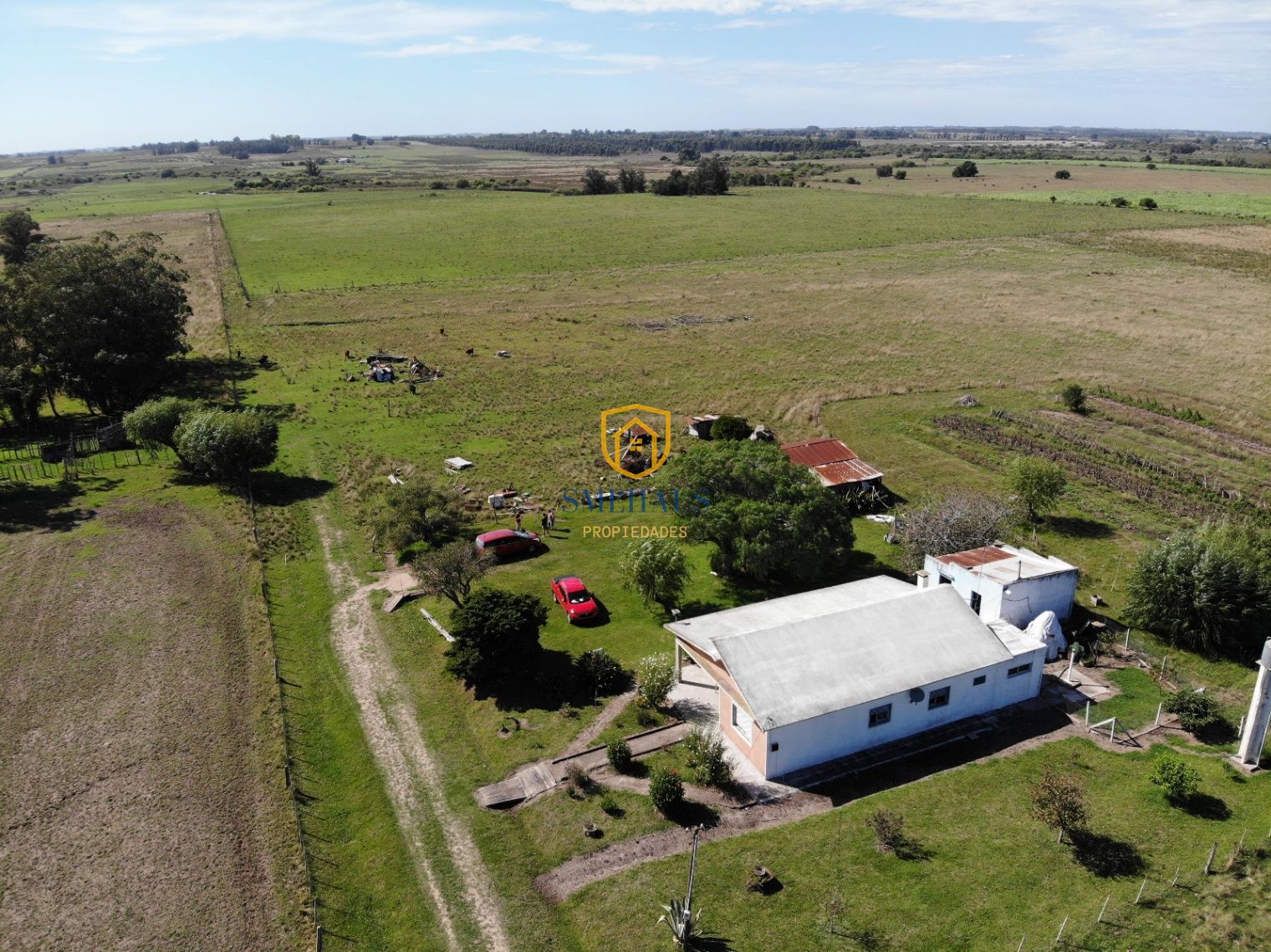 image 29