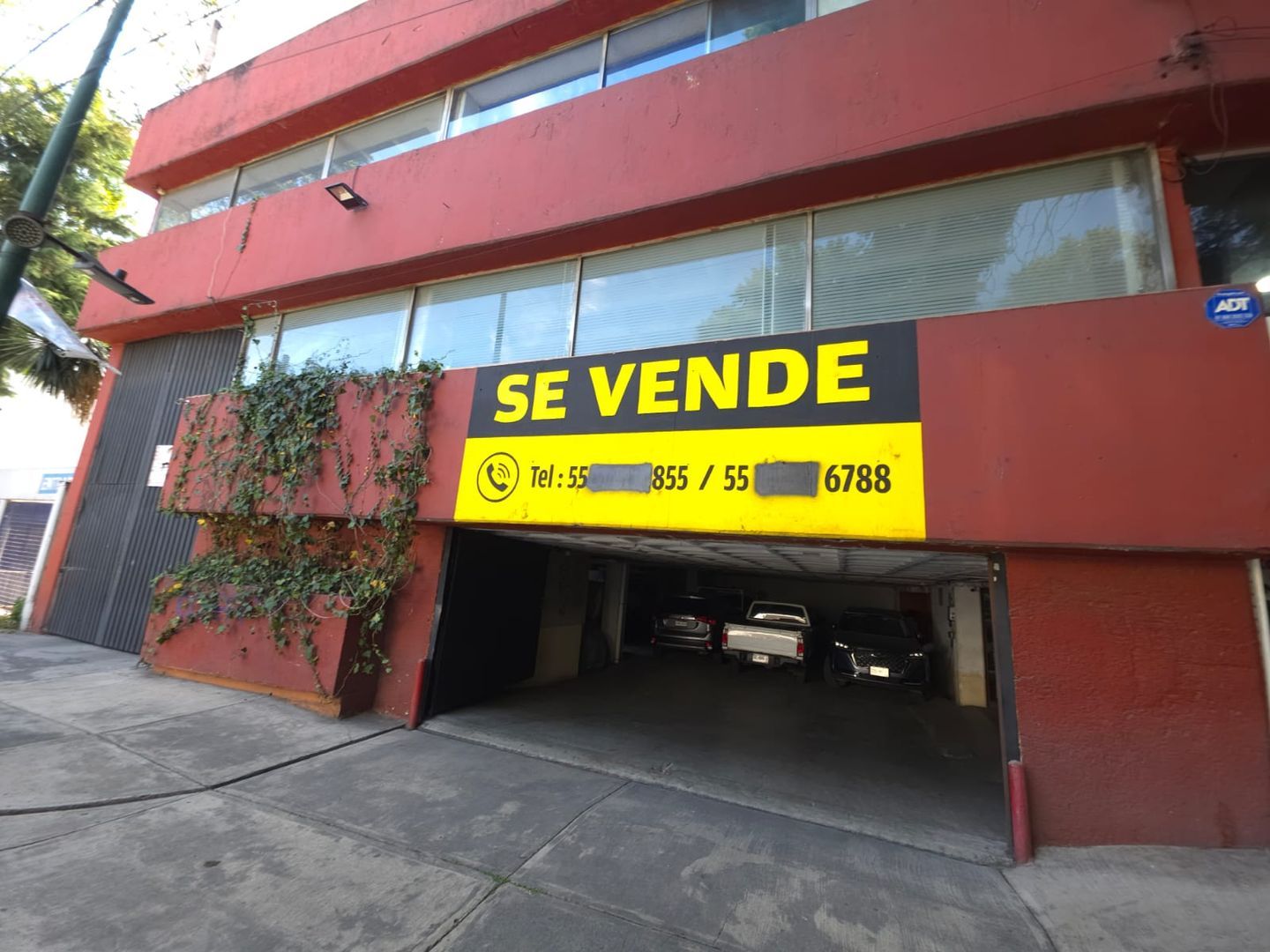 Periférico y Rembrandt 4.jpeg