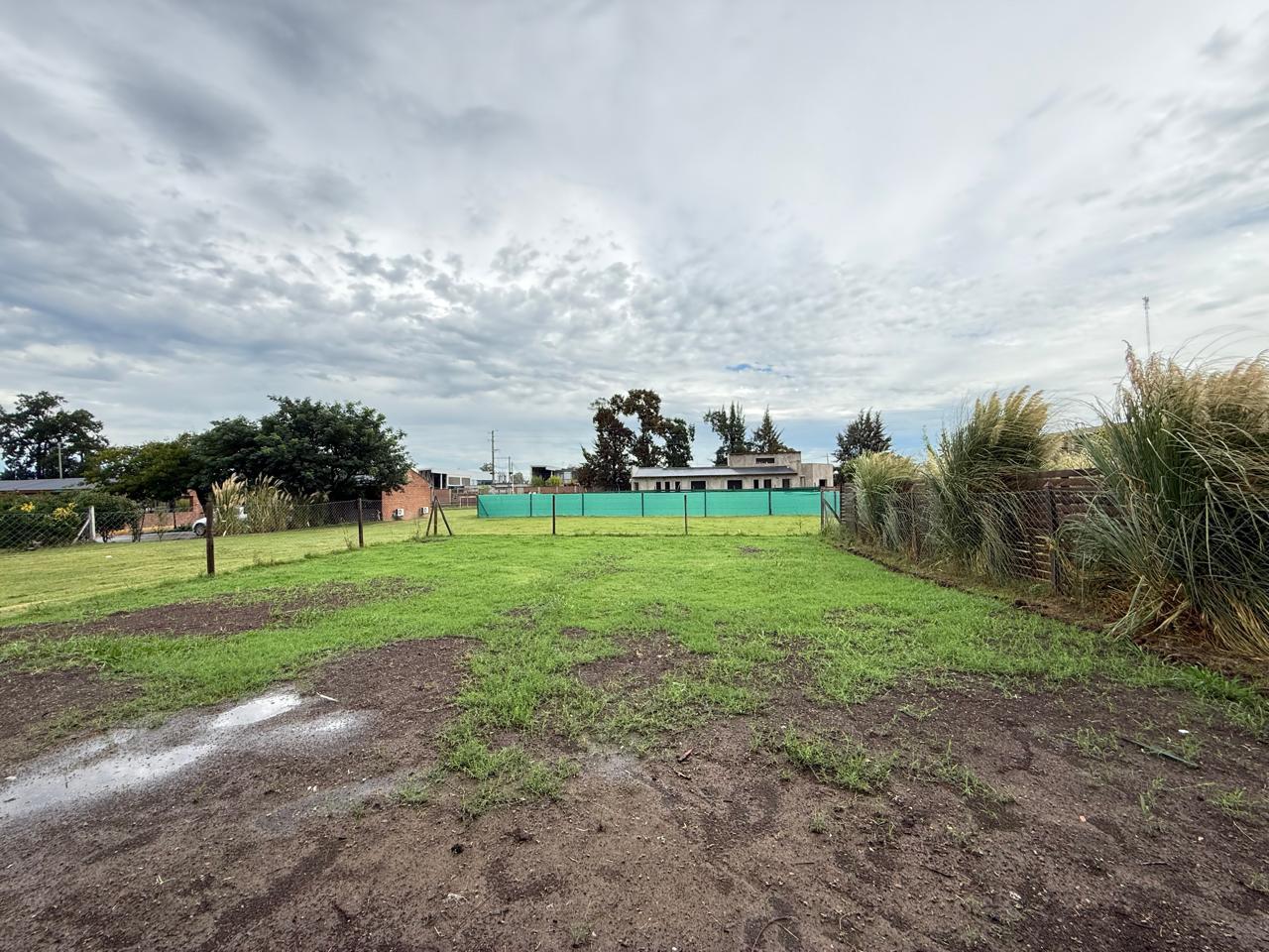 image 30