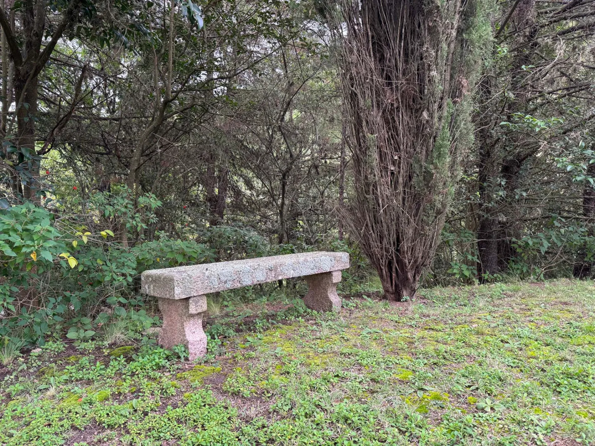 image 45