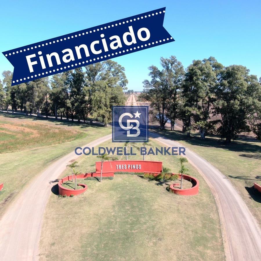 Coldwell Banker Paraguay