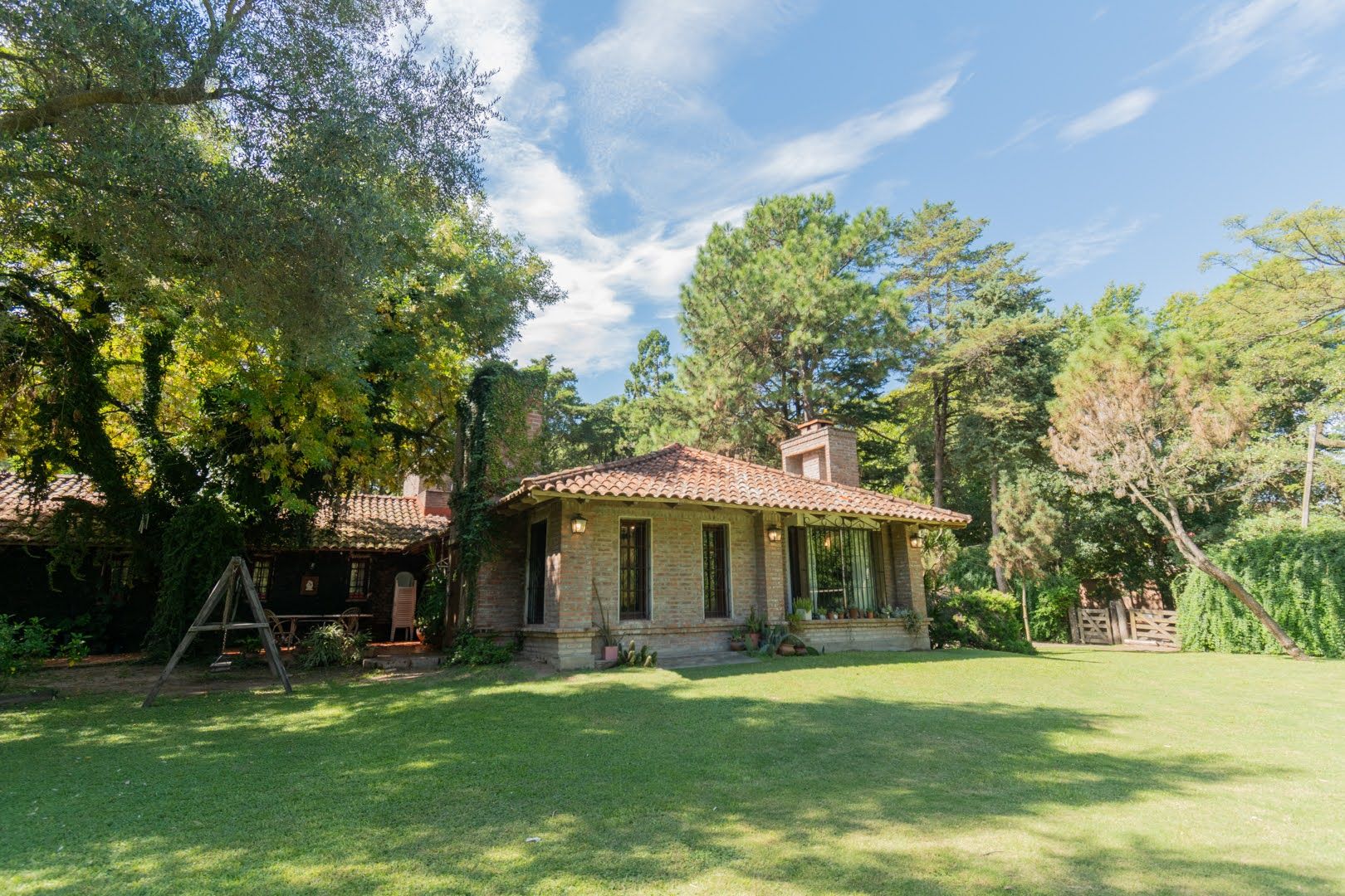 colastine_010.jpg