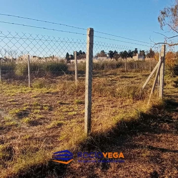 1775481896.jpg