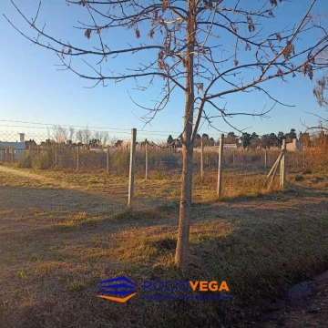 1775481898.jpg