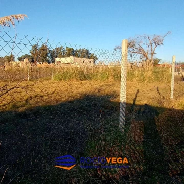 1775481898.jpg
