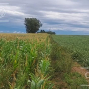 Campo en Venta de 76 has en Baradero