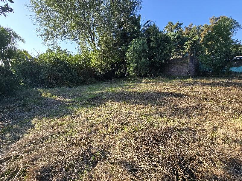 Lote en Benavídez, Tigre, foto 2